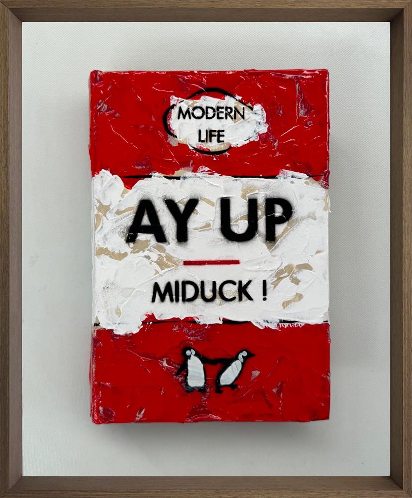 Ay Up - Mini Storybook