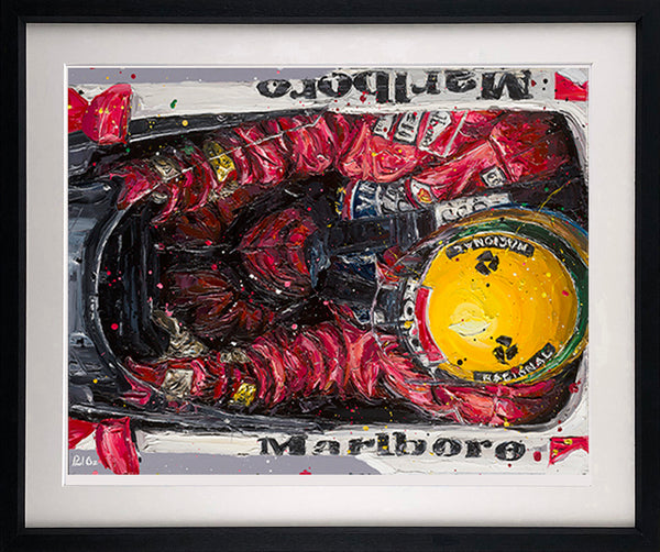 BIRDS EYE SENNA by Paul Oz (FORMULA 1 & MOTORSPORT)