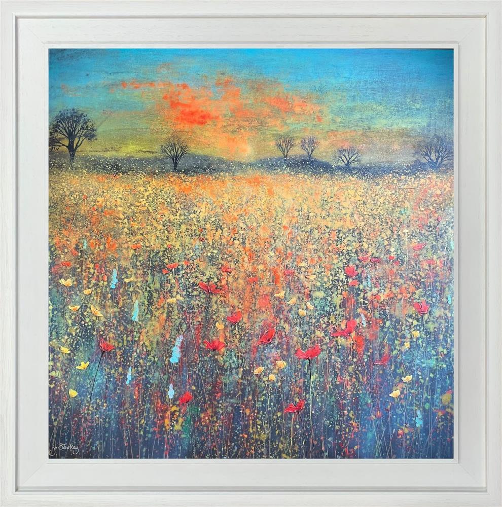 Evening Meadow Glow