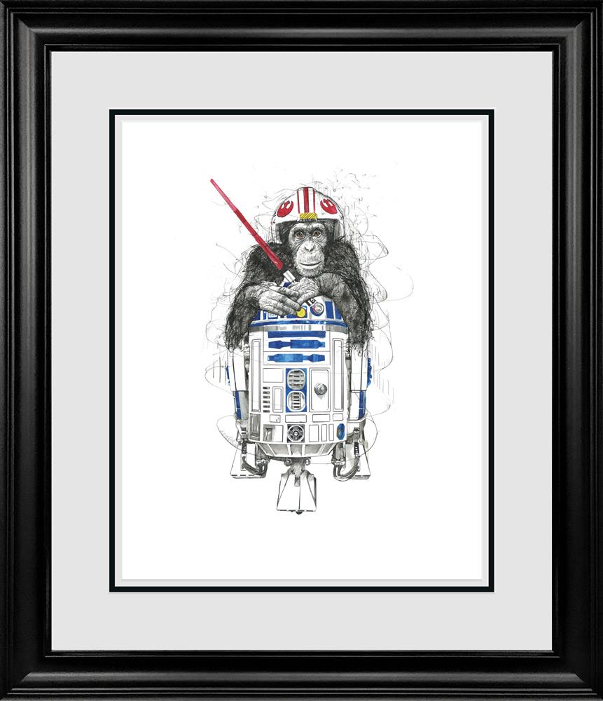 Feel The Force