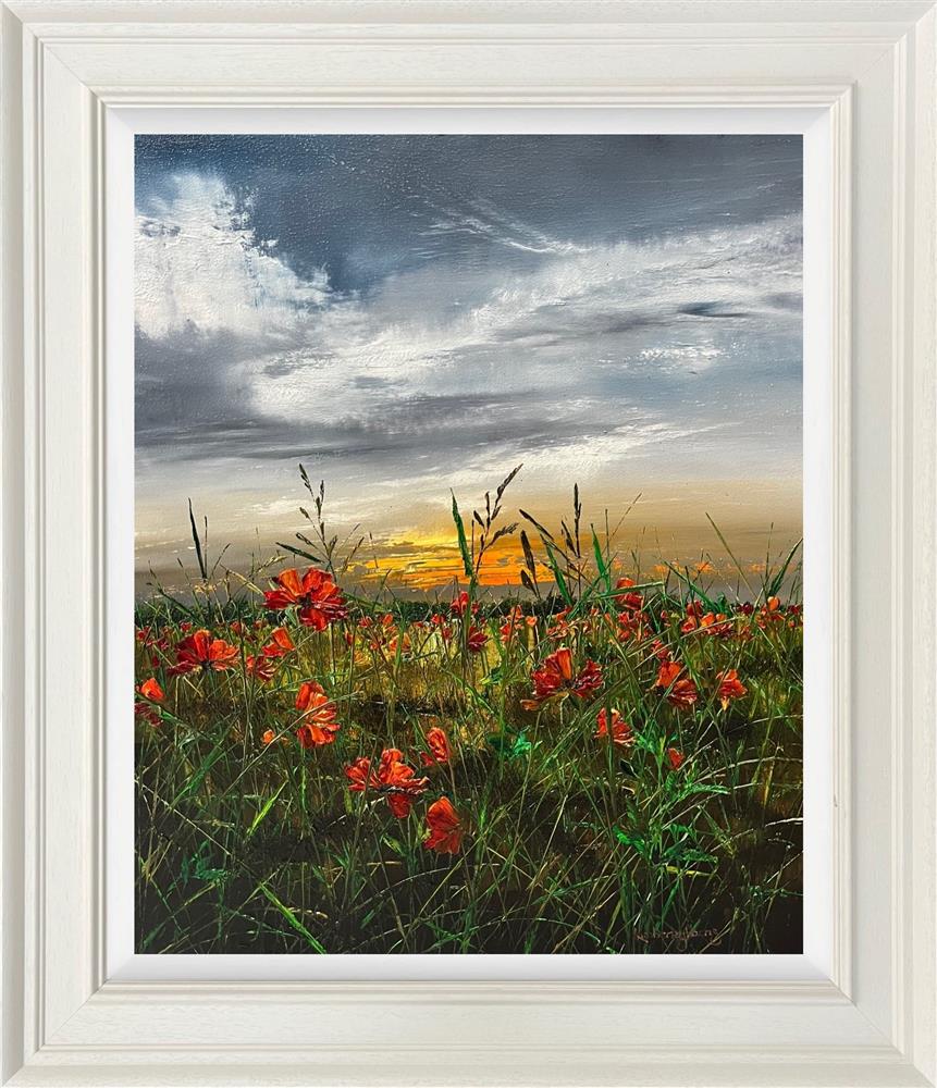 Field Of Tender Dream