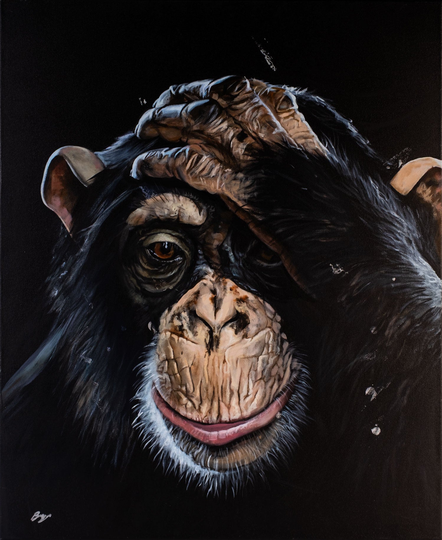 George Chimp by Bryn Sutcliffe