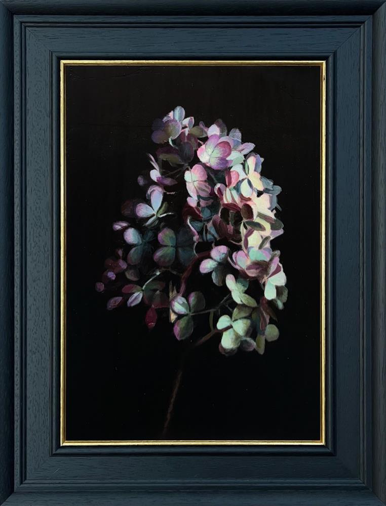 Hydrangea