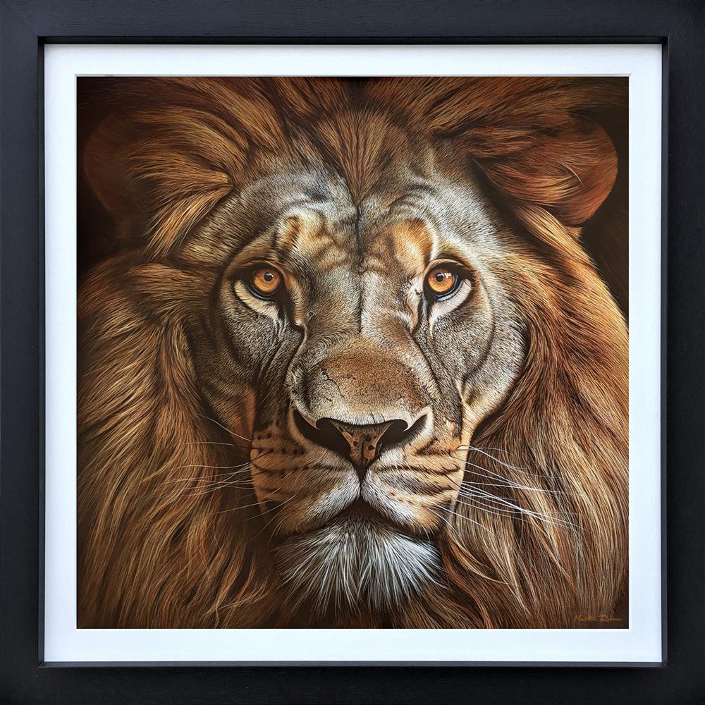 King's Gaze