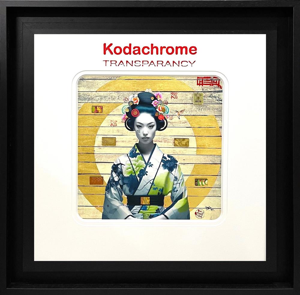 Kodachrome - To Have And To Hold