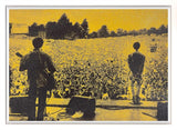 Live At Knebworth Original by Fezz