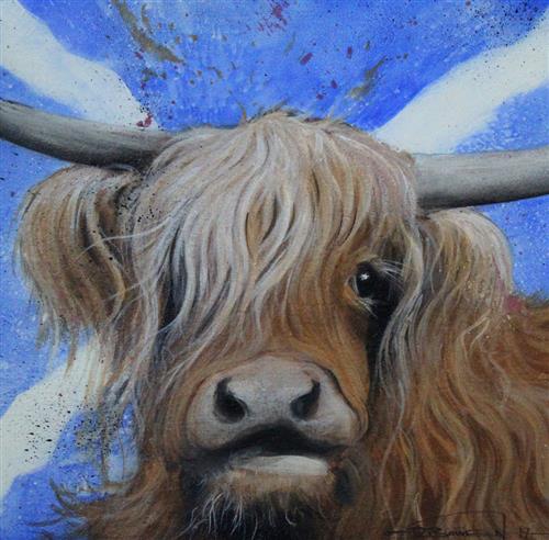 'Northern Pride'