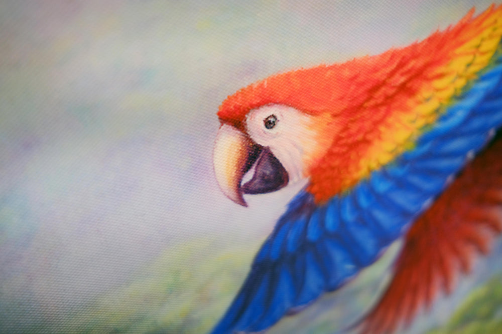 parrots-by-kim-woods- original