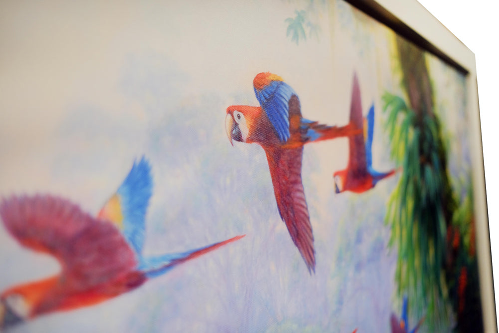 parrots-by-kim-woods- original-art-for-sale