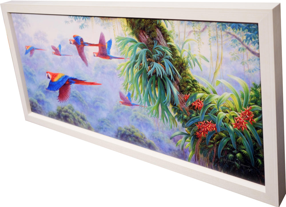 parrots-by-kim-woods- original