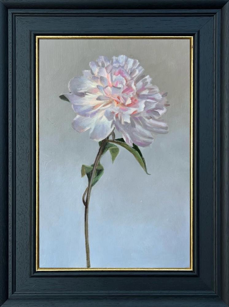 Peony IV
