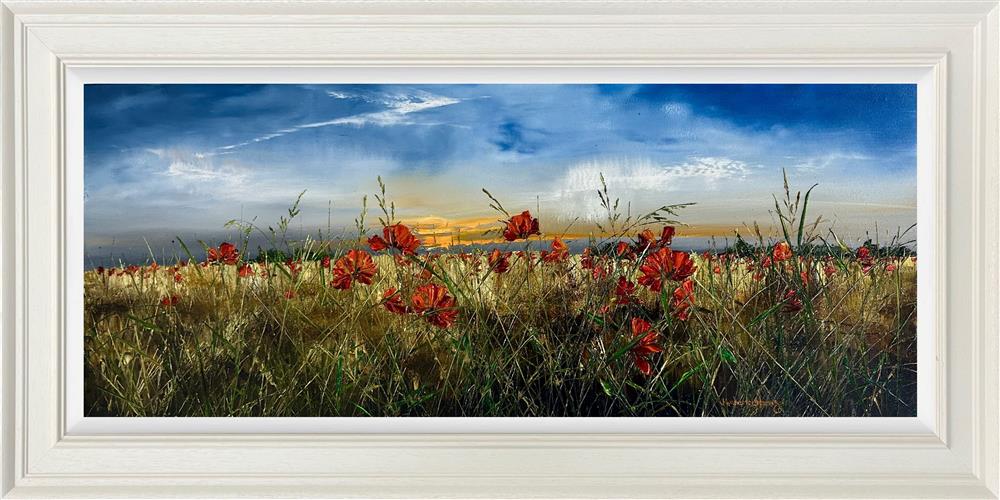 Poppies In The Golden Light