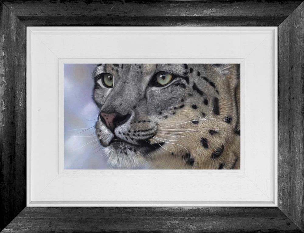 Snow Leopard