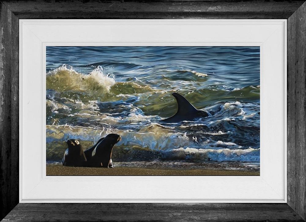 Sunlit Orca