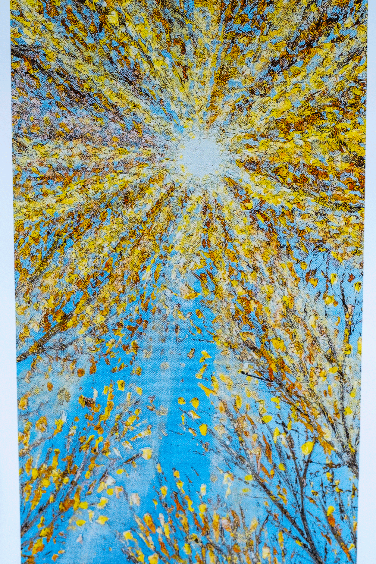 Enlightenment Strip by Sophia Chalklen