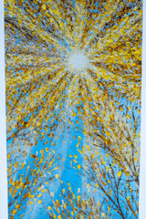 Enlightenment Strip by Sophia Chalklen