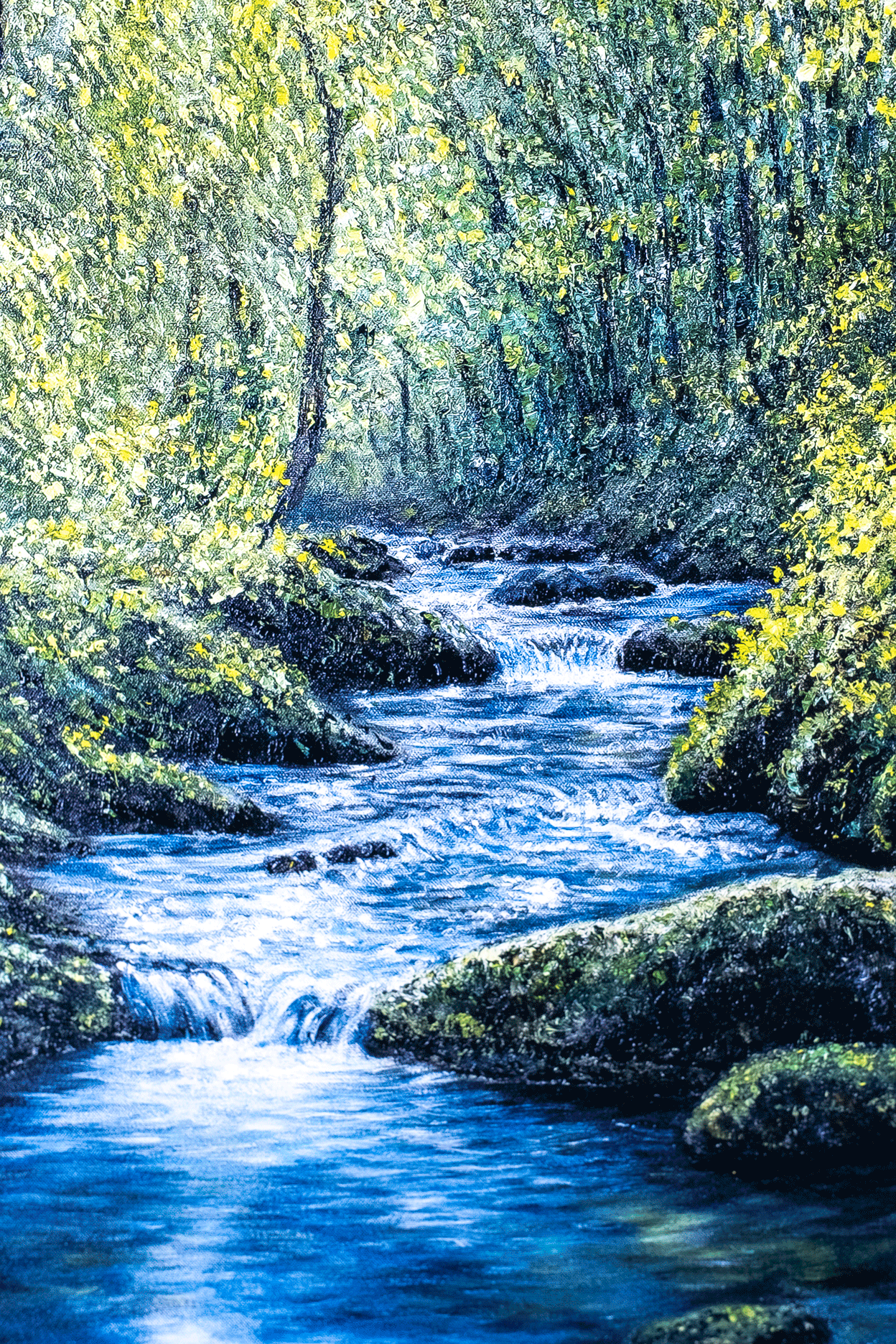 Touched by Light by Sophia Chalklen