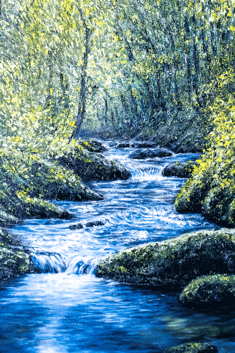 Touched by Light by Sophia Chalklen