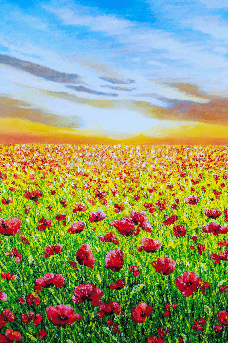 Love's Awakening by Sophia Chalklen