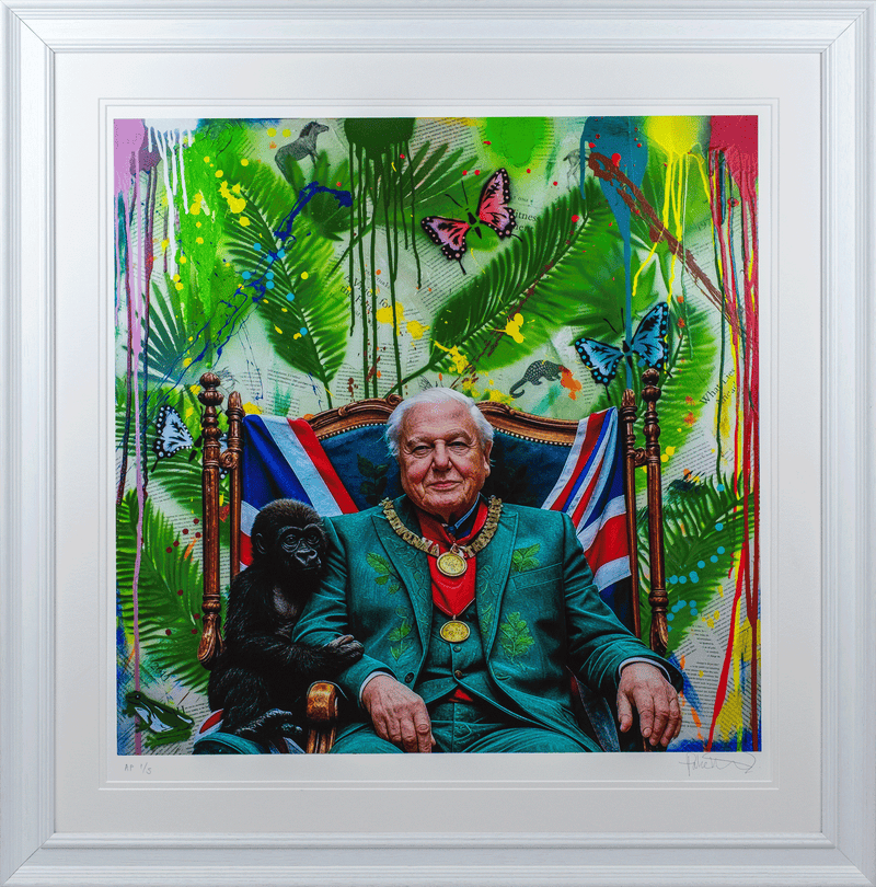 David Attenborough National Treasure (Limited Edition Prints) By Jake Wood