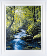 Touched by Light by Sophia Chalklen