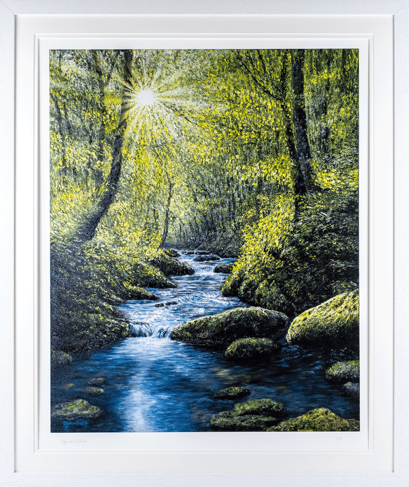 Touched by Light by Sophia Chalklen
