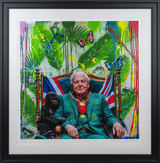 David Attenborough National Treasure (Limited Edition Prints) By Jake Wood