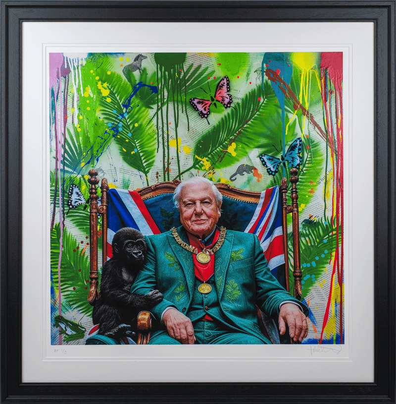 David Attenborough National Treasure (Limited Edition Prints) By Jake Wood