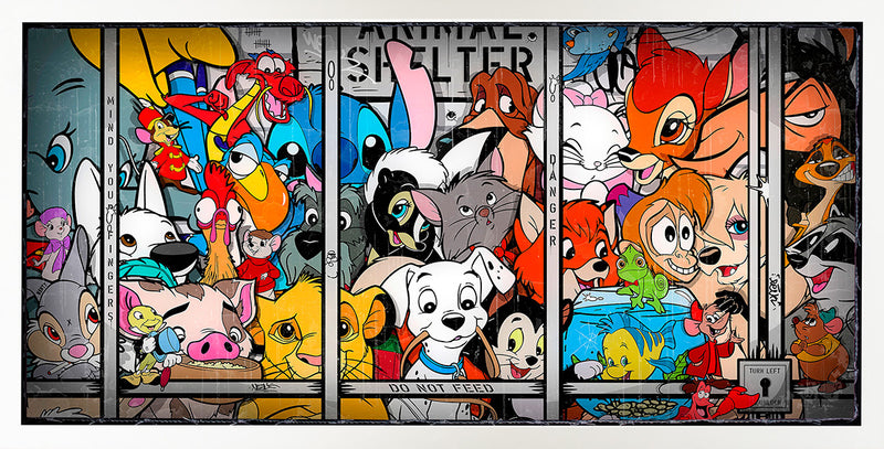 Animal Shelter by JJ Adams Spring 2024