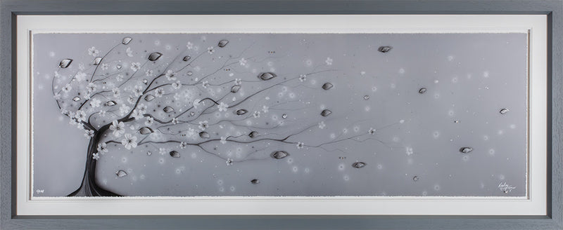 Resilience 'Haru' Spring collection '24 By Kealey Farmer