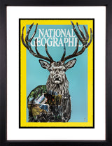 National Geographic by Chess