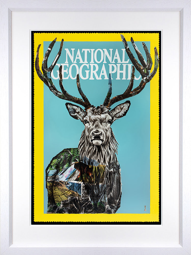 National Geographic by Chess