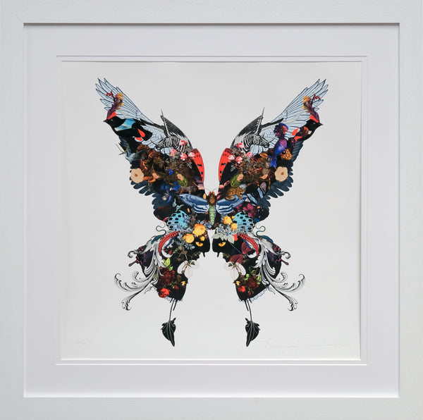 The Voyager Butterfly - Art Print by Kristjana S Williams