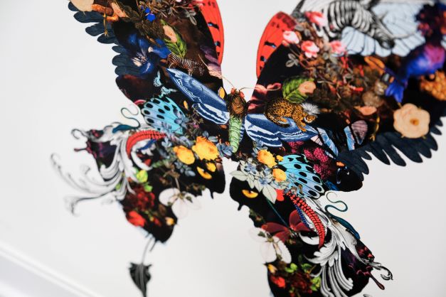 The Voyager Butterfly - Art Print by Kristjana S Williams