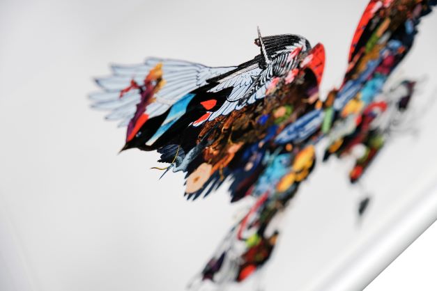 The Voyager Butterfly - Art Print by Kristjana S Williams