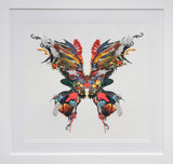 The Explorer Butterfly - Art Print by Kristjana S Williams