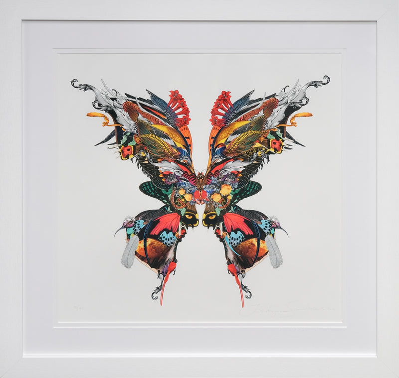 The Explorer Butterfly - Art Print by Kristjana S Williams