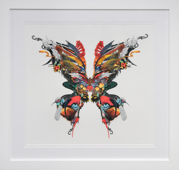 The Explorer Butterfly - Art Print by Kristjana S Williams