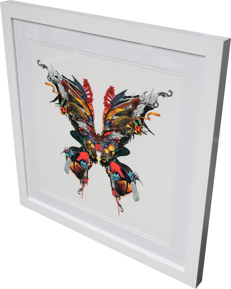 The Explorer Butterfly - Art Print by Kristjana S Williams