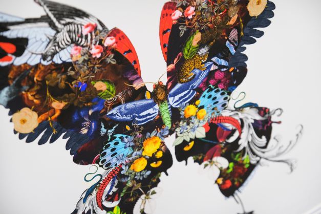 The Voyager Butterfly - Art Print by Kristjana S Williams