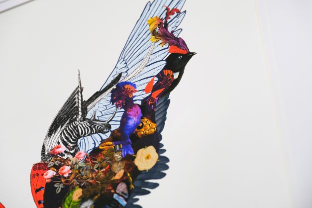 The Voyager Butterfly - Art Print by Kristjana S Williams