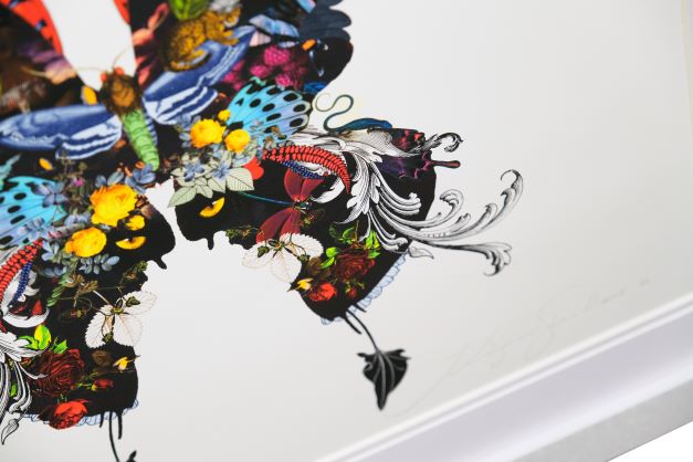 The Voyager Butterfly - Art Print by Kristjana S Williams