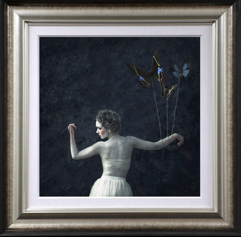 Transition Limited Edition by Michelle Mackie