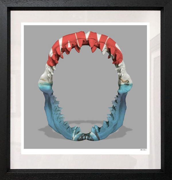 Jaws Limited Edition by Monica Vincent