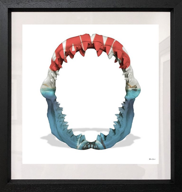 Jaws Limited Edition by Monica Vincent