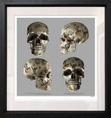 Tattooed Skulls Limited Edition by Monica Vincent