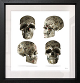 Tattooed Skulls Limited Edition by Monica Vincent